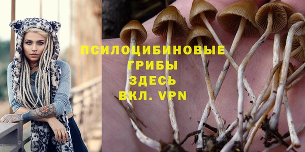 мяу мяу мука Бугульма