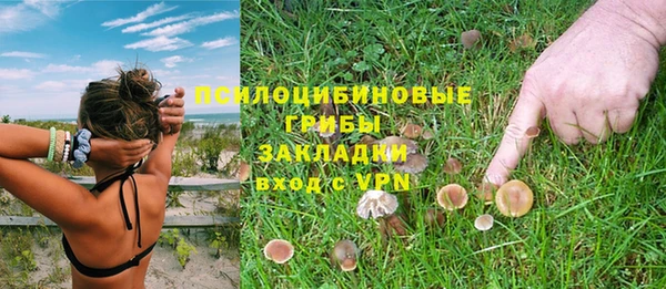 кокаин Бородино