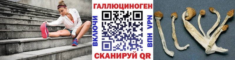 Псилоцибиновые грибы Magic Shrooms  Купить где  Сысерть 